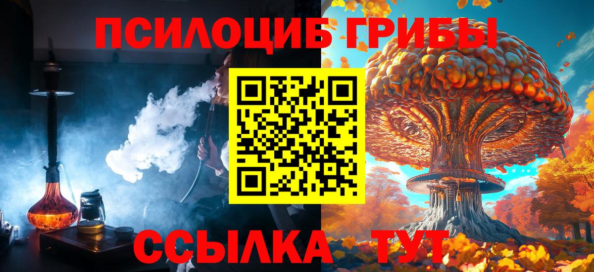 Обь  Псилоцибиновые грибы Cubensis  Вход с VPN 