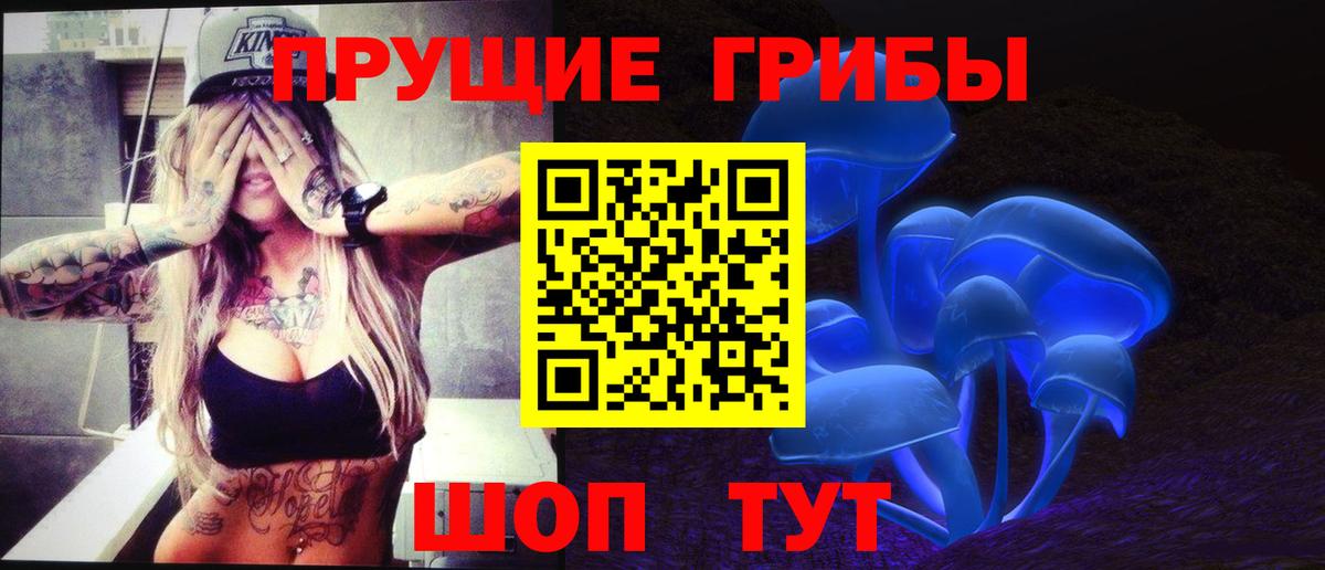 Псилоцибиновые грибы мицелий Обь